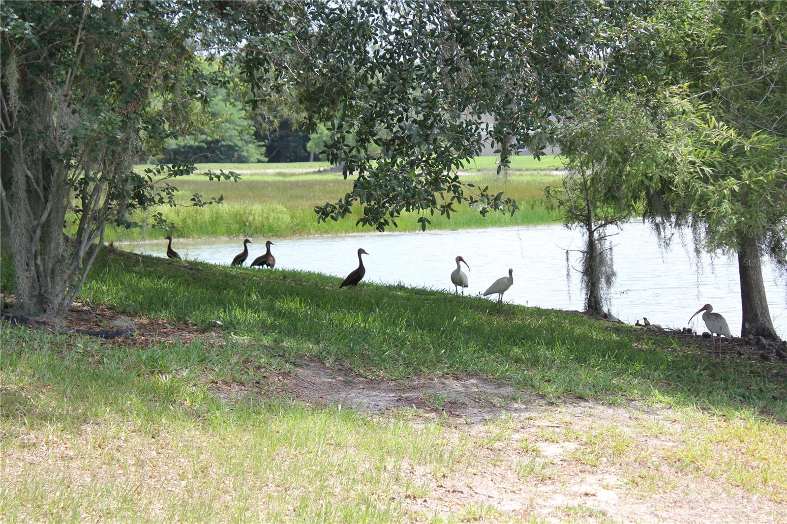 1819 SANDHILL LN, WINTER HAVEN, FL — photo 4