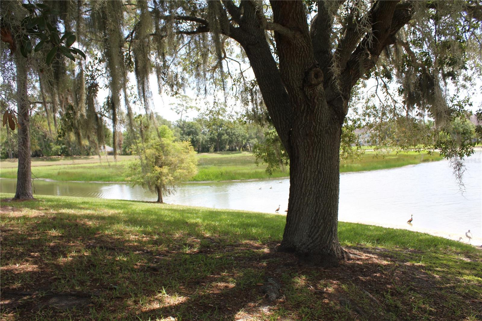 1819 SANDHILL LN, WINTER HAVEN, FL — photo 7
