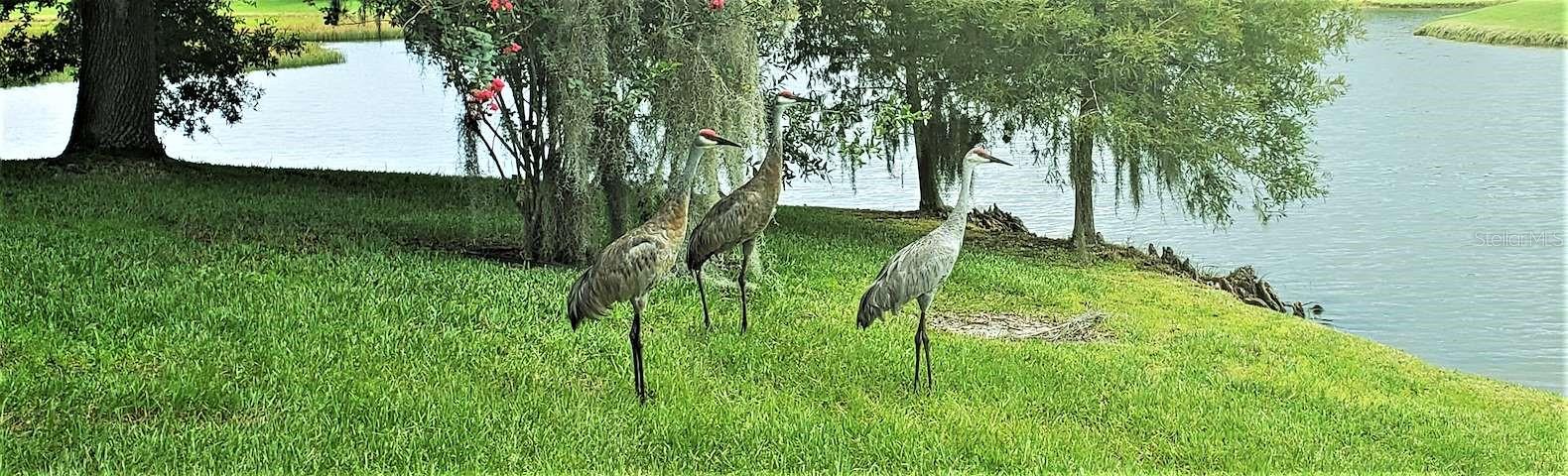 1819 SANDHILL LN, WINTER HAVEN, FL — photo 67