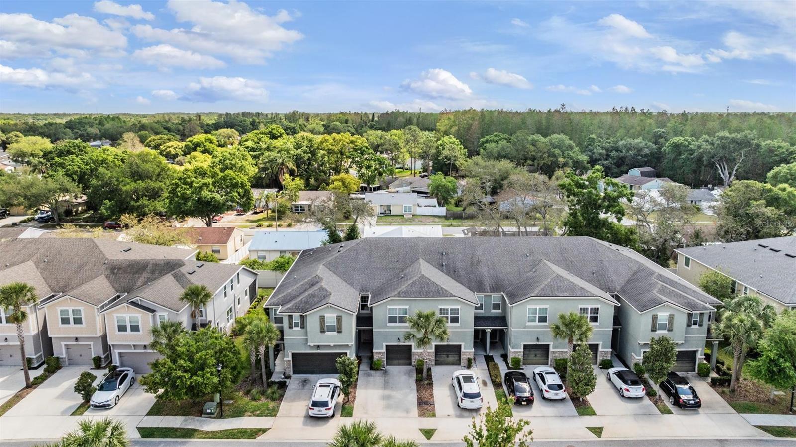 14229 DAMSELFLY DR, TAMPA, FL — photo 32