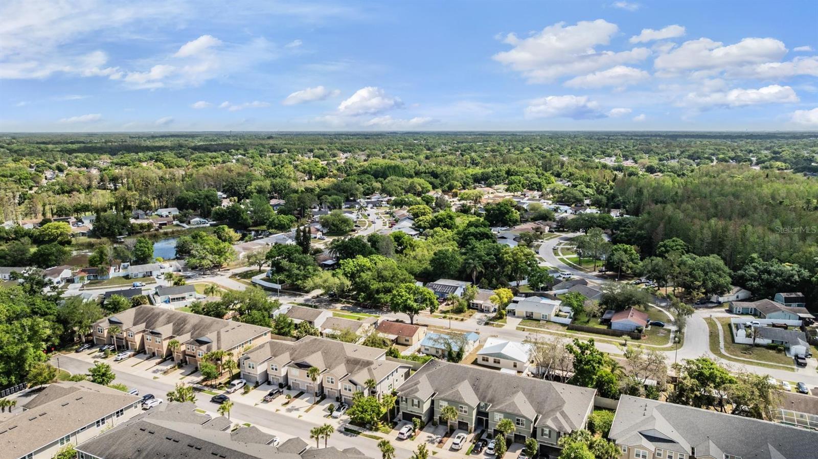 14229 DAMSELFLY DR, TAMPA, FL — photo 34