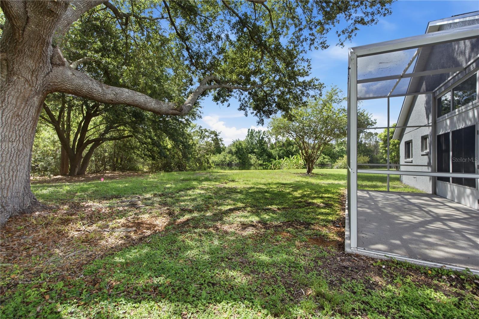 6003 CHELLAS CT, LUTZ, FL — photo 35