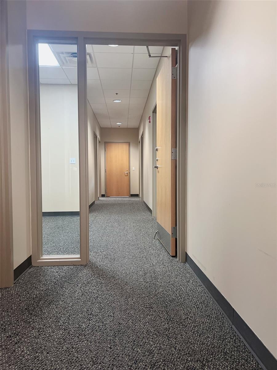 800 CELEBRATION AVE #202-B, CELEBRATION, FL — photo 17