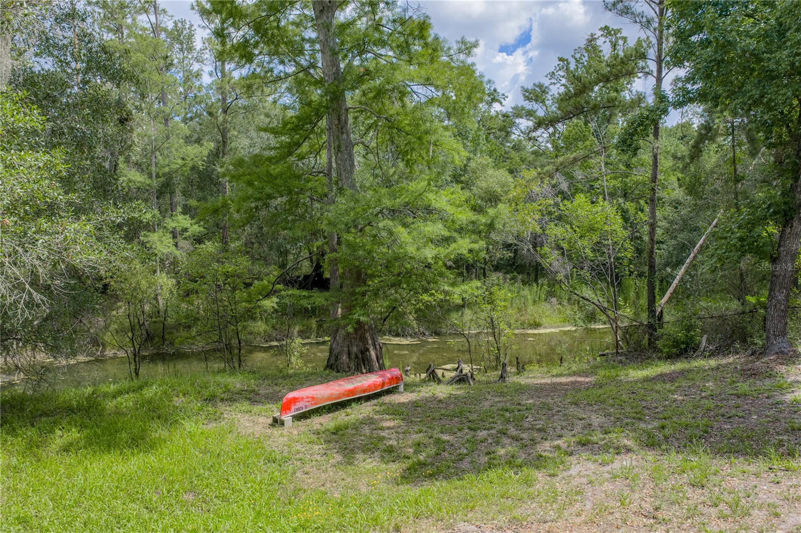 33065 CEDONIA RD, DADE CITY, FL — photo 36