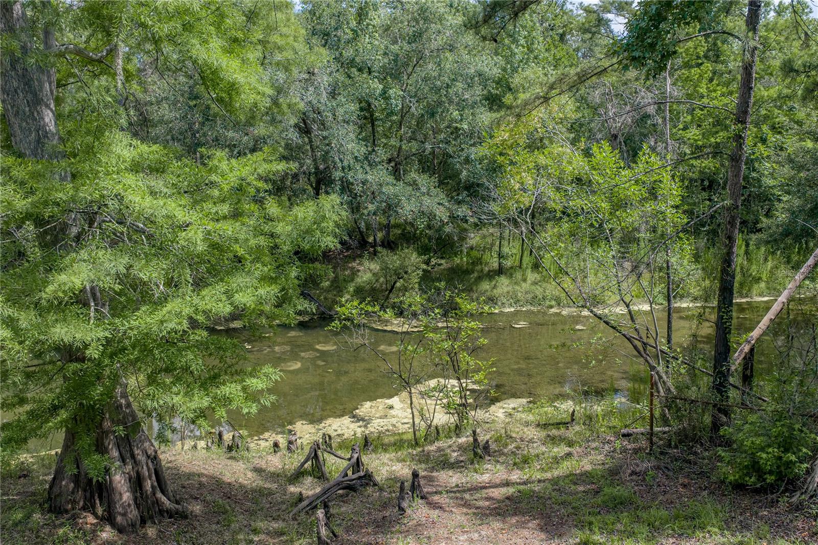 33065 CEDONIA RD, DADE CITY, FL — photo 37