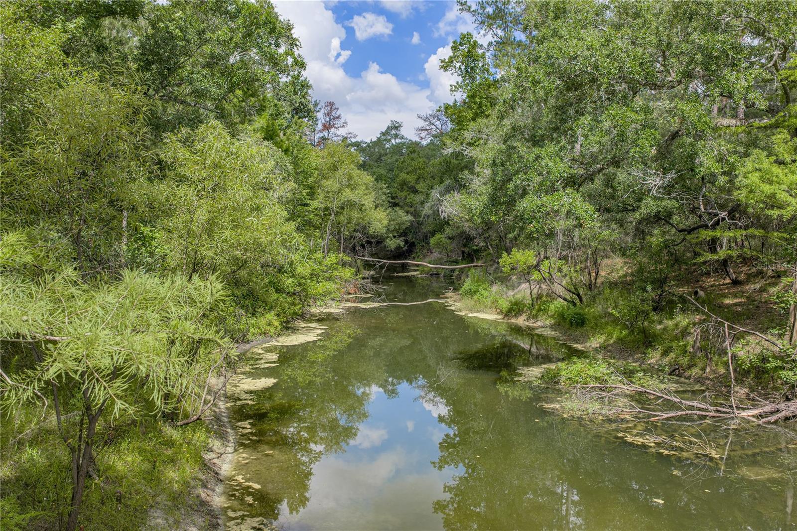 33065 CEDONIA RD, DADE CITY, FL — photo 39
