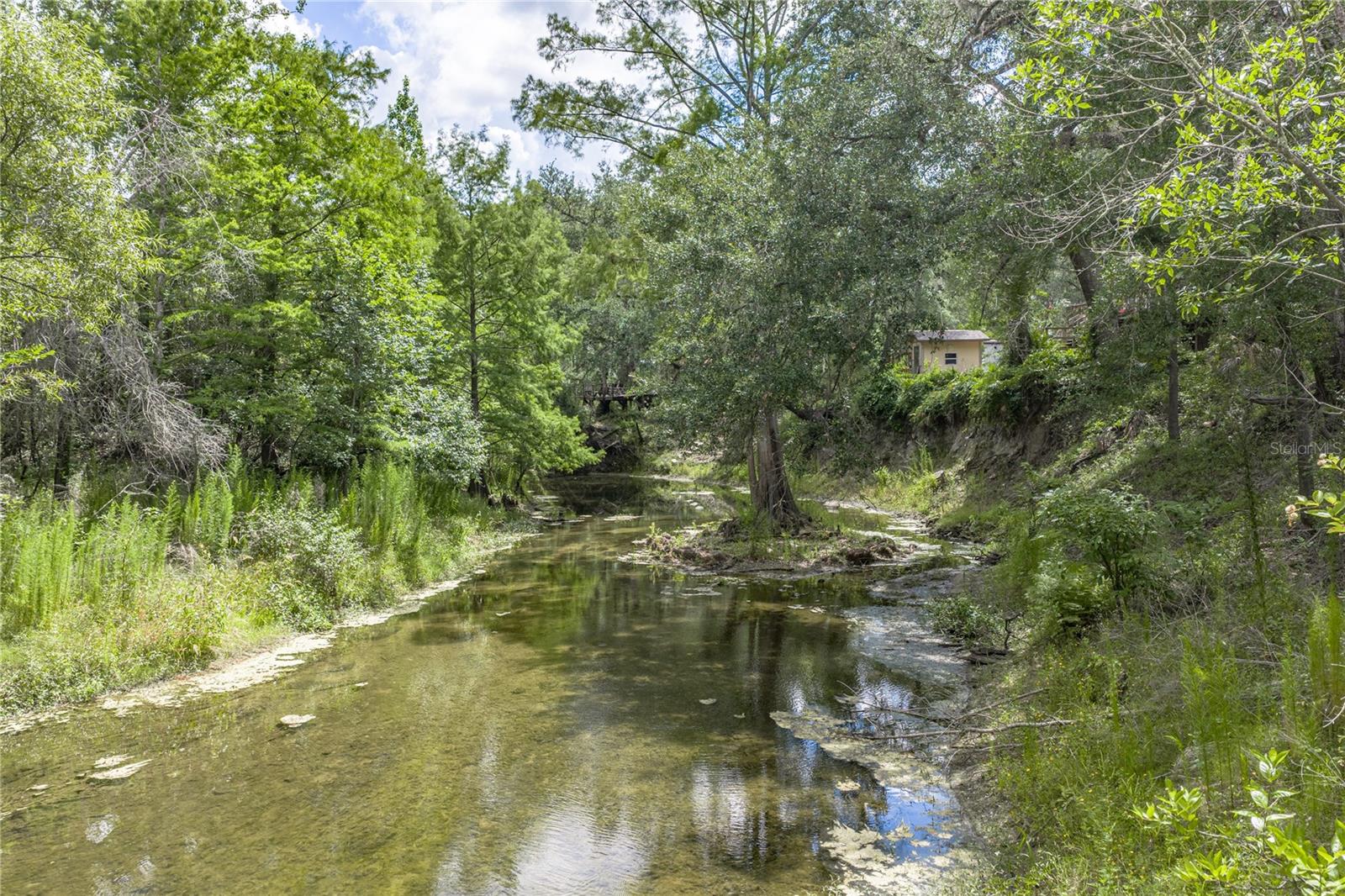 33065 CEDONIA RD, DADE CITY, FL — photo 40