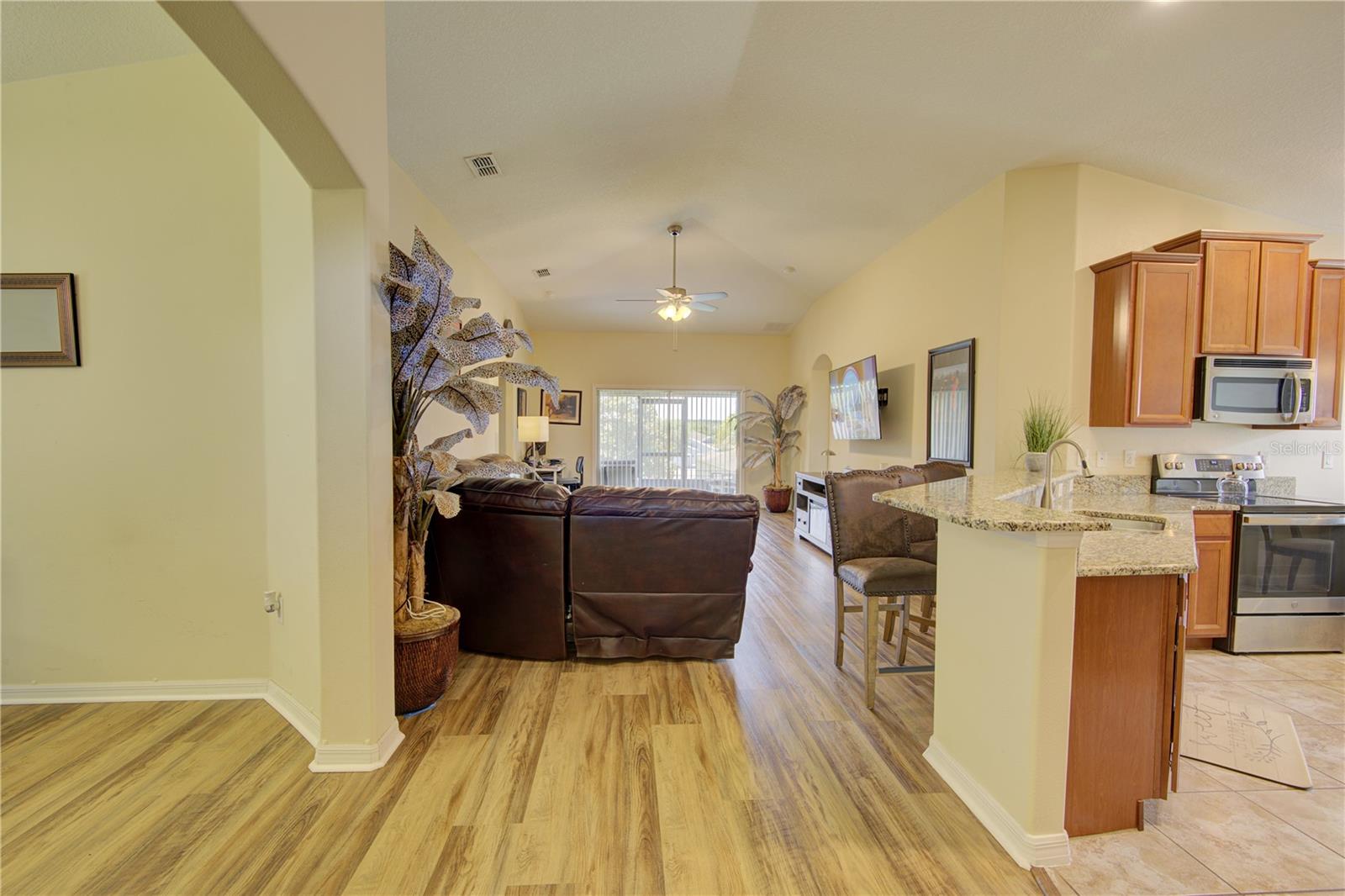 4834 HAVILLAND DR, MOUNT DORA, FL — photo 8