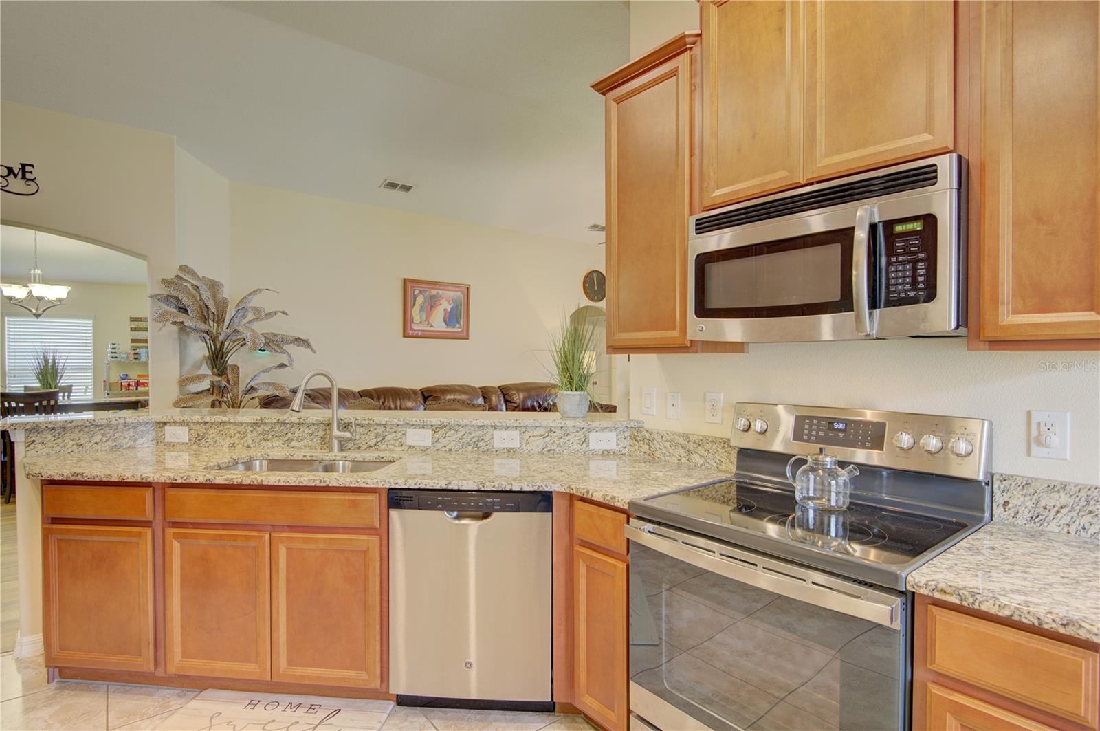 4834 HAVILLAND DR, MOUNT DORA, FL — photo 11