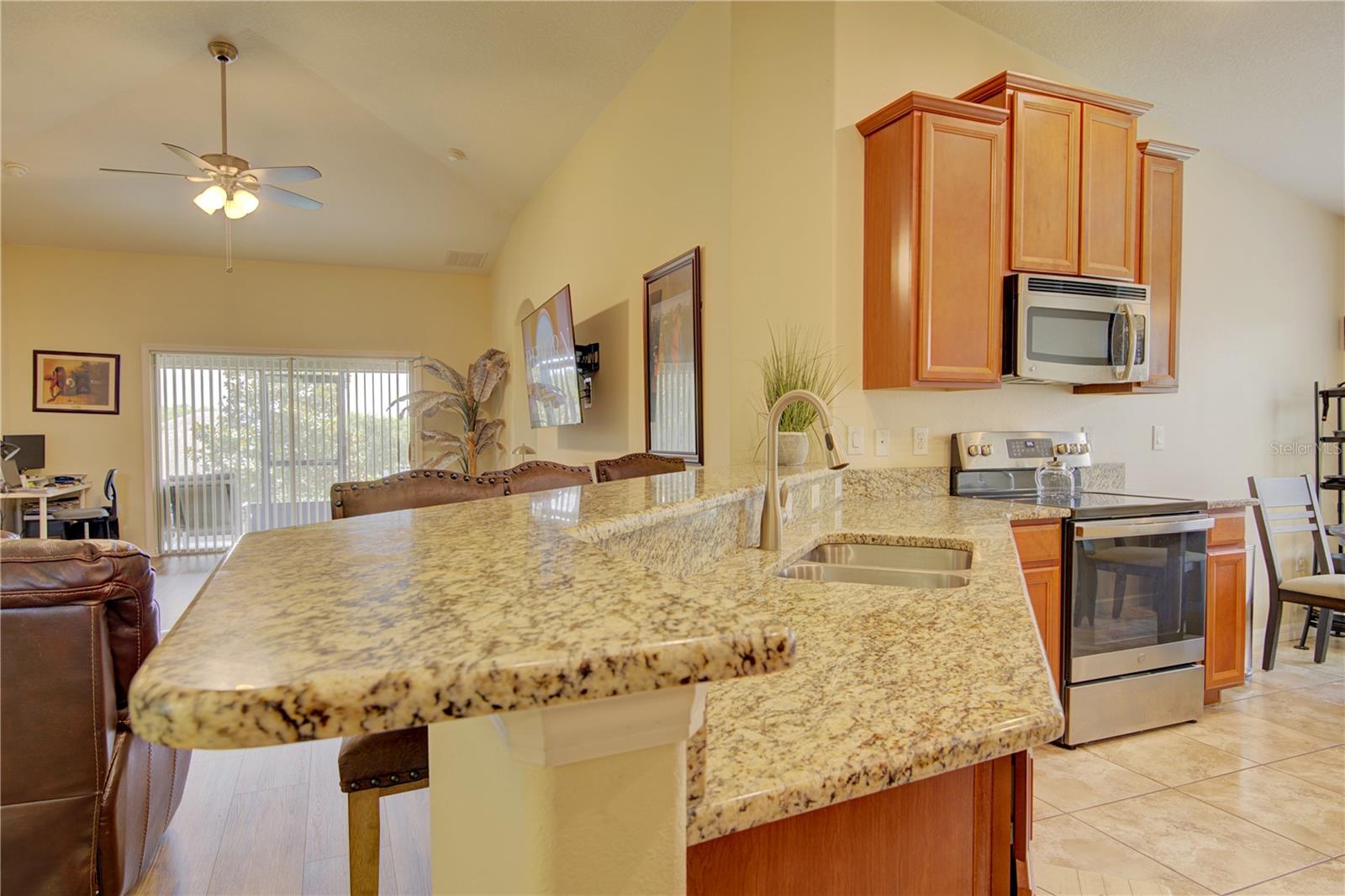 4834 HAVILLAND DR, MOUNT DORA, FL — photo 17