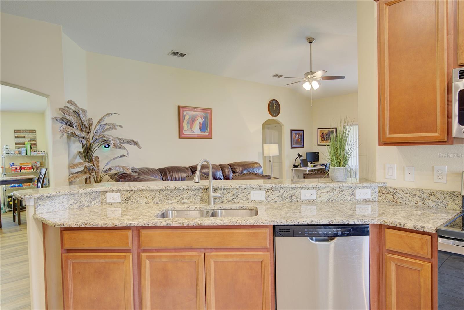 4834 HAVILLAND DR, MOUNT DORA, FL — photo 19