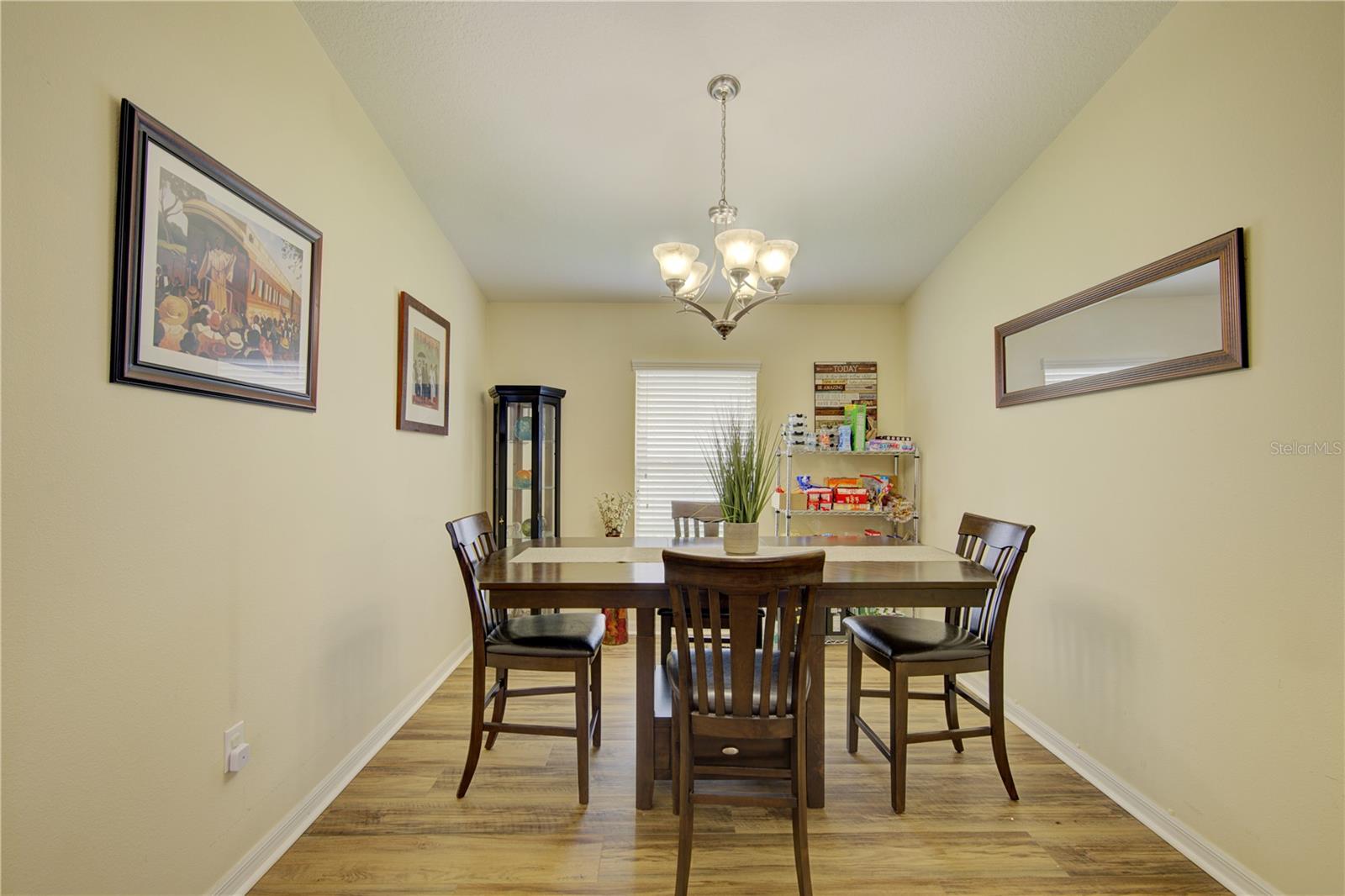 4834 HAVILLAND DR, MOUNT DORA, FL — photo 9