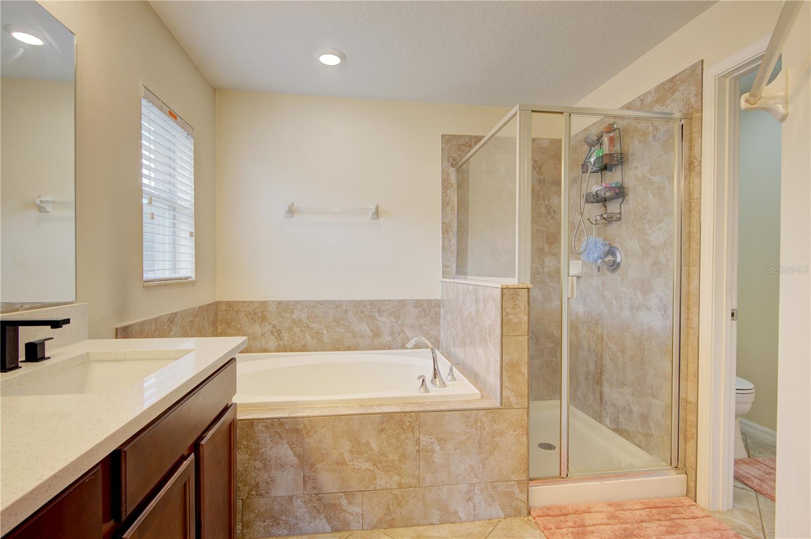 4834 HAVILLAND DR, MOUNT DORA, FL — photo 28
