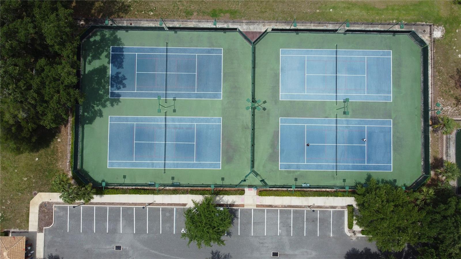 4834 HAVILLAND DR, MOUNT DORA, FL — photo 43