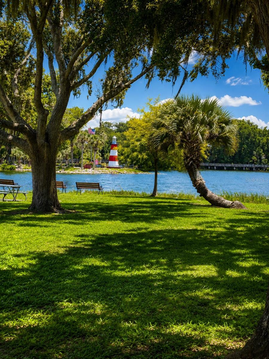 4834 HAVILLAND DR, MOUNT DORA, FL — photo 55