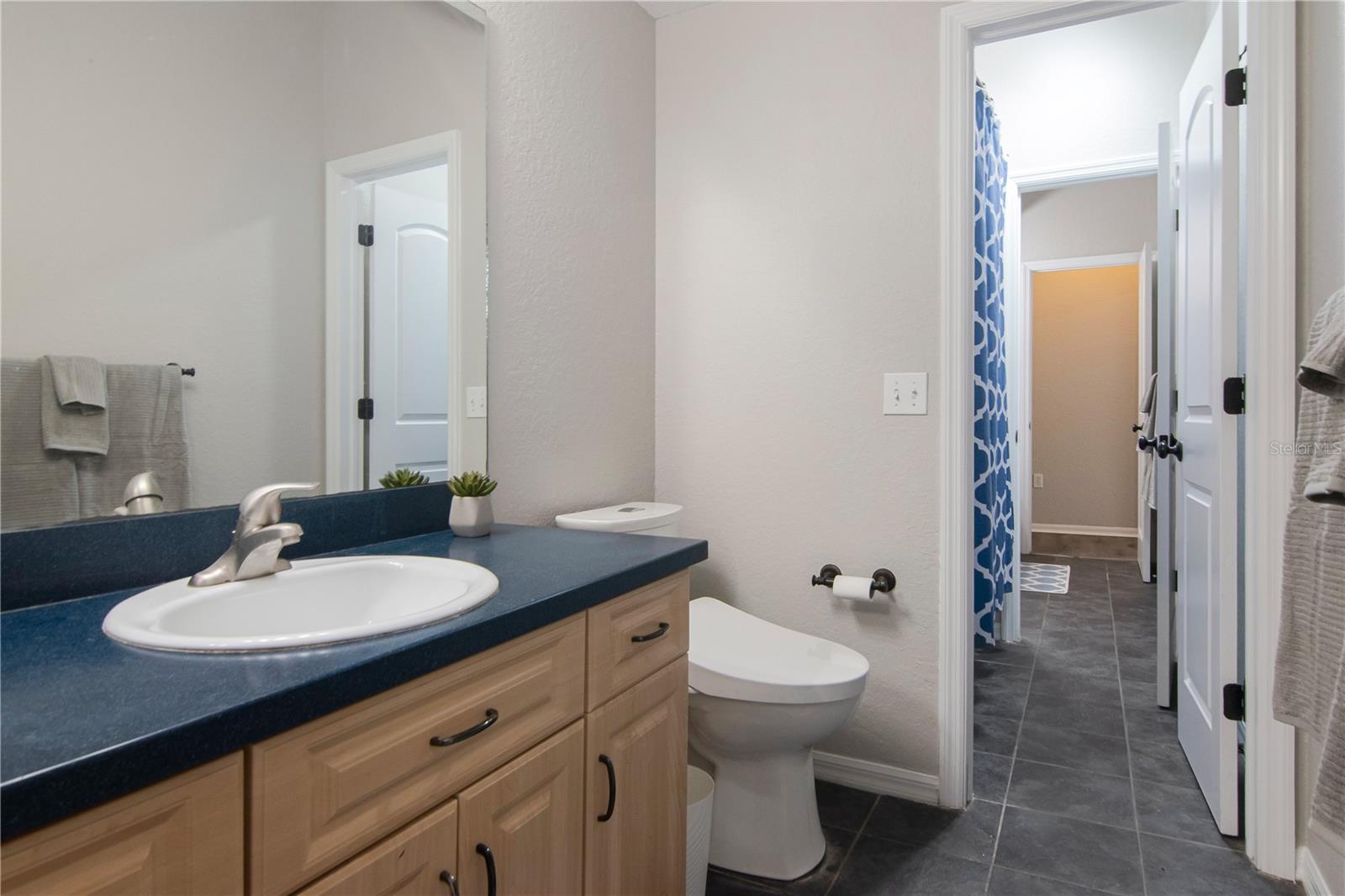 219 WILLOW BEND PKWY, LUTZ, FL — photo 22