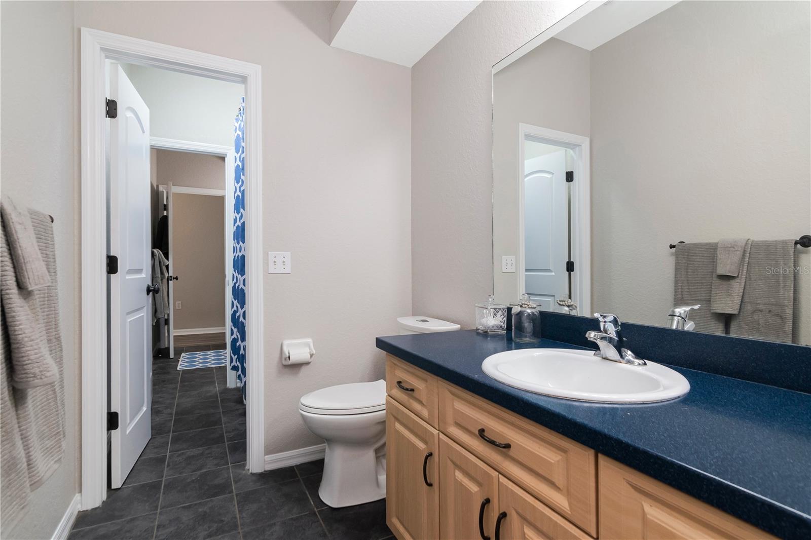 219 WILLOW BEND PKWY, LUTZ, FL — photo 25