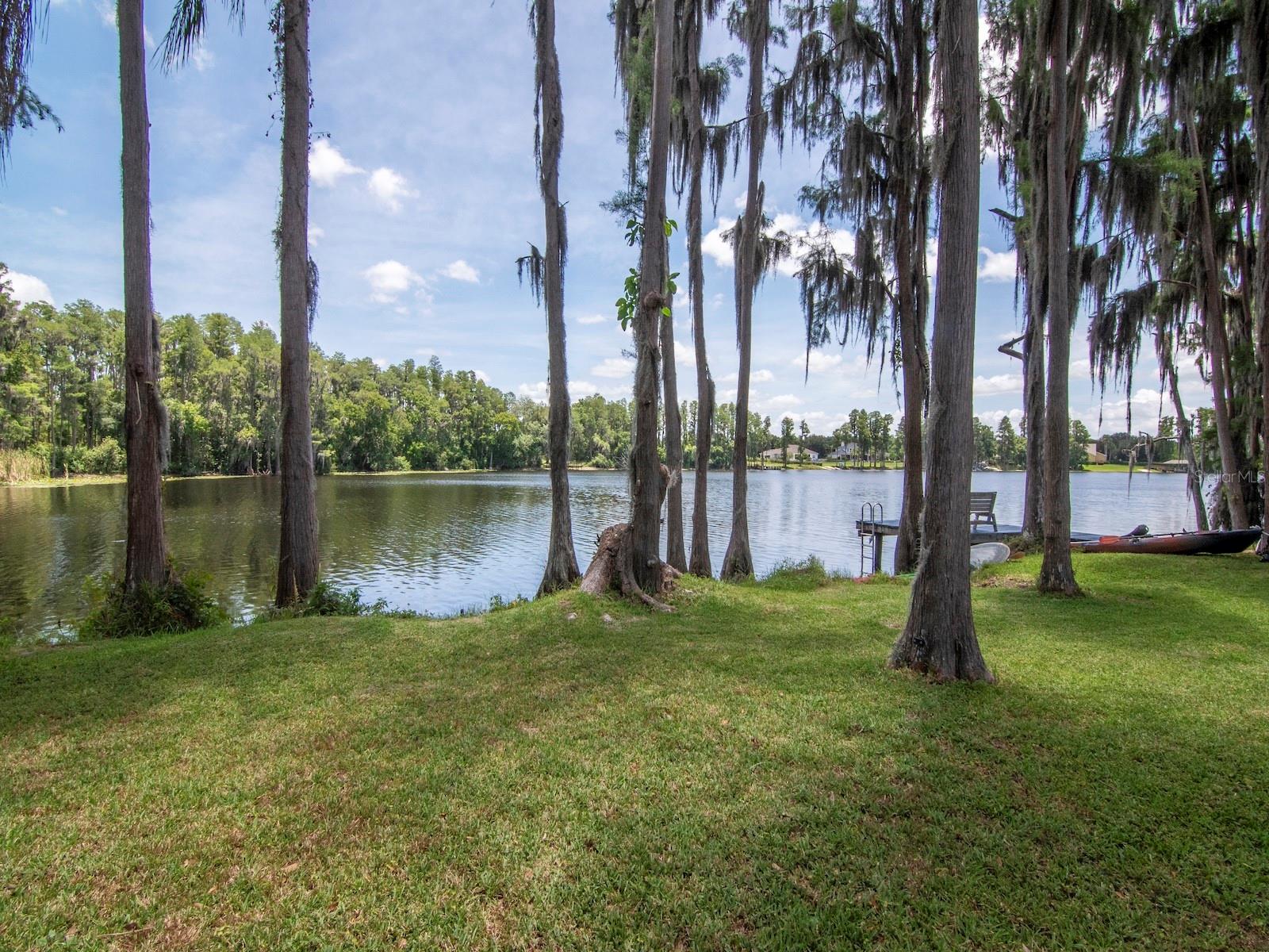 219 WILLOW BEND PKWY, LUTZ, FL — photo 36