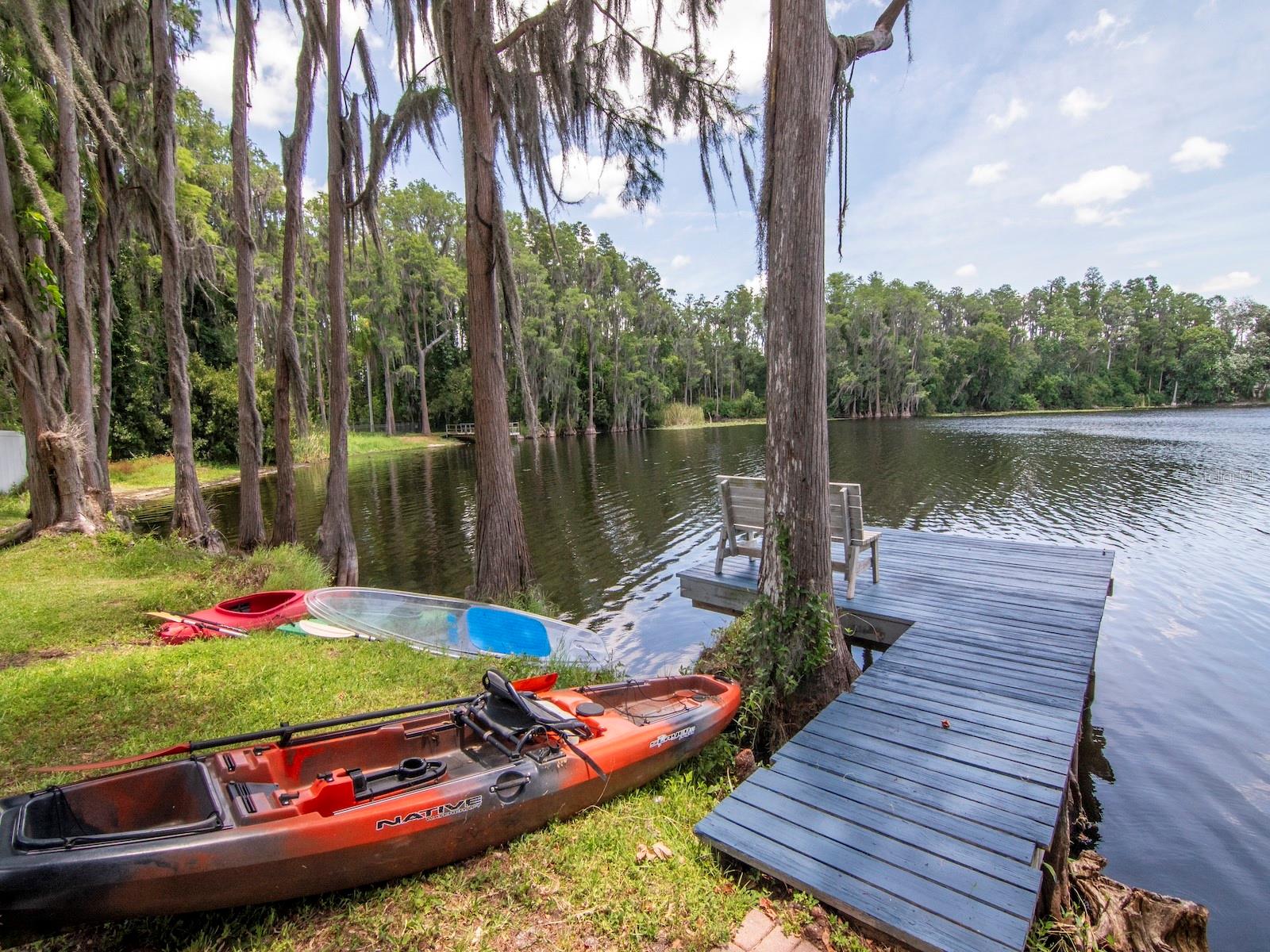 219 WILLOW BEND PKWY, LUTZ, FL — photo 39