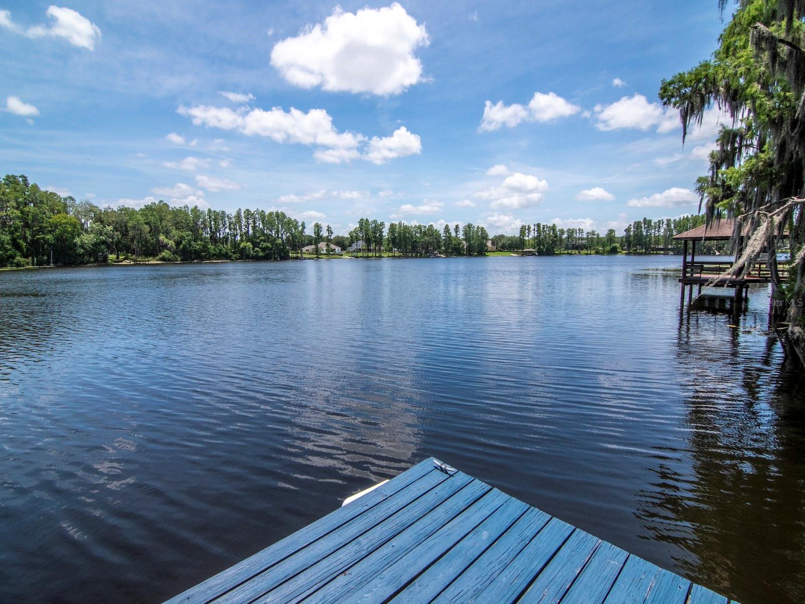 219 WILLOW BEND PKWY, LUTZ, FL