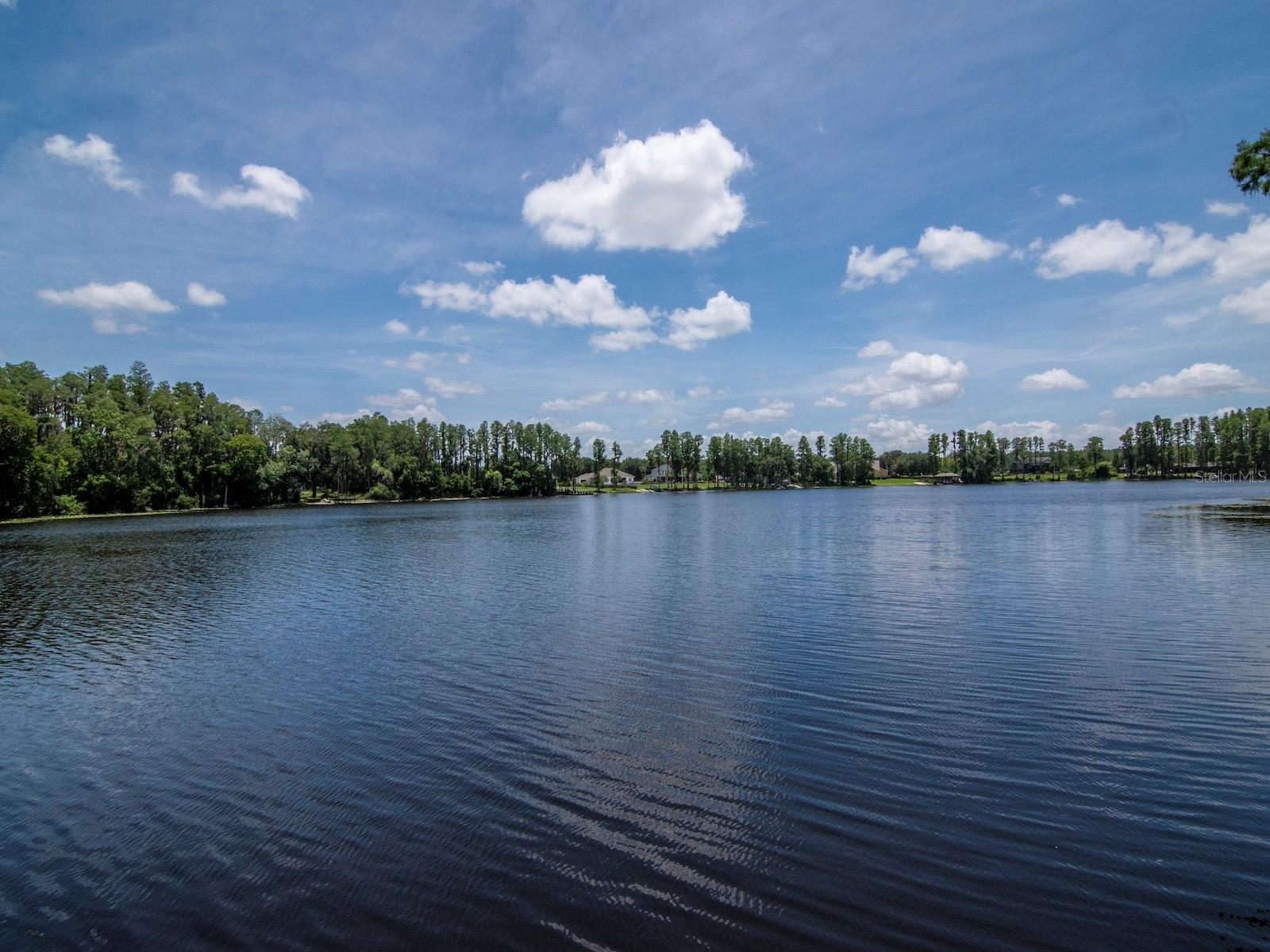219 WILLOW BEND PKWY, LUTZ, FL — photo 40