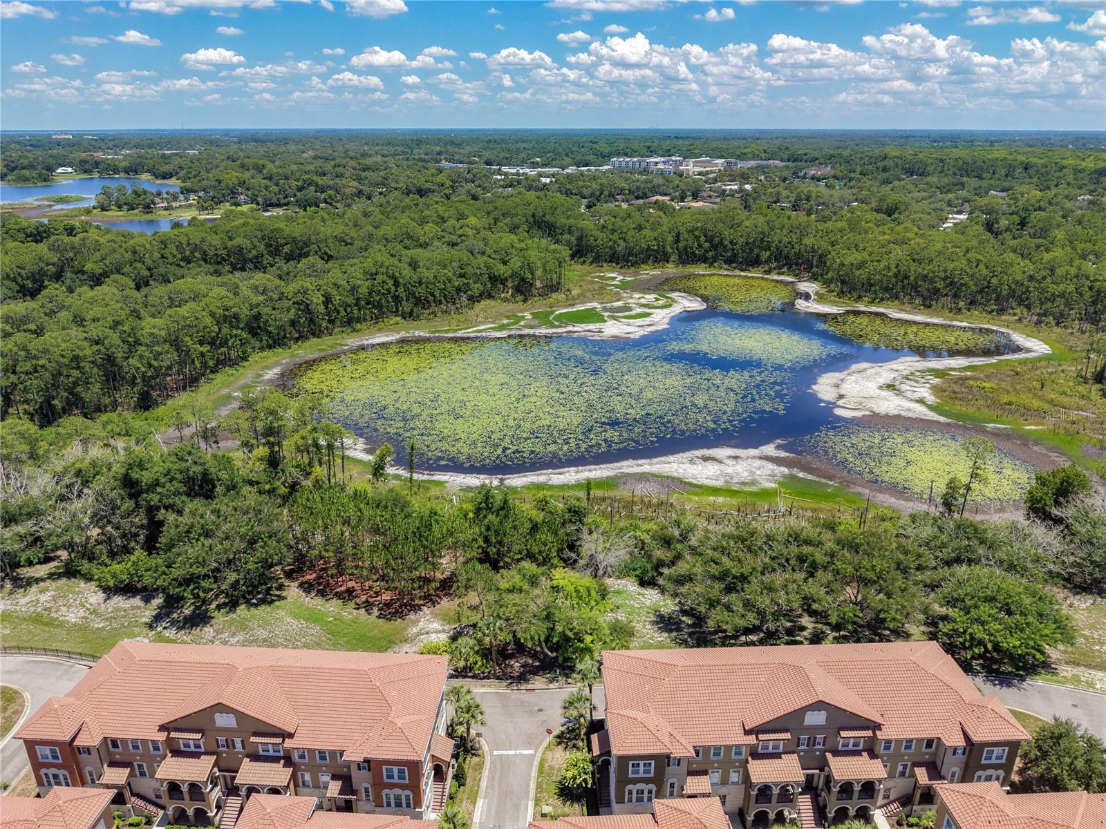 1220 LOBELIA DR, LAKE MARY, FL — photo 31