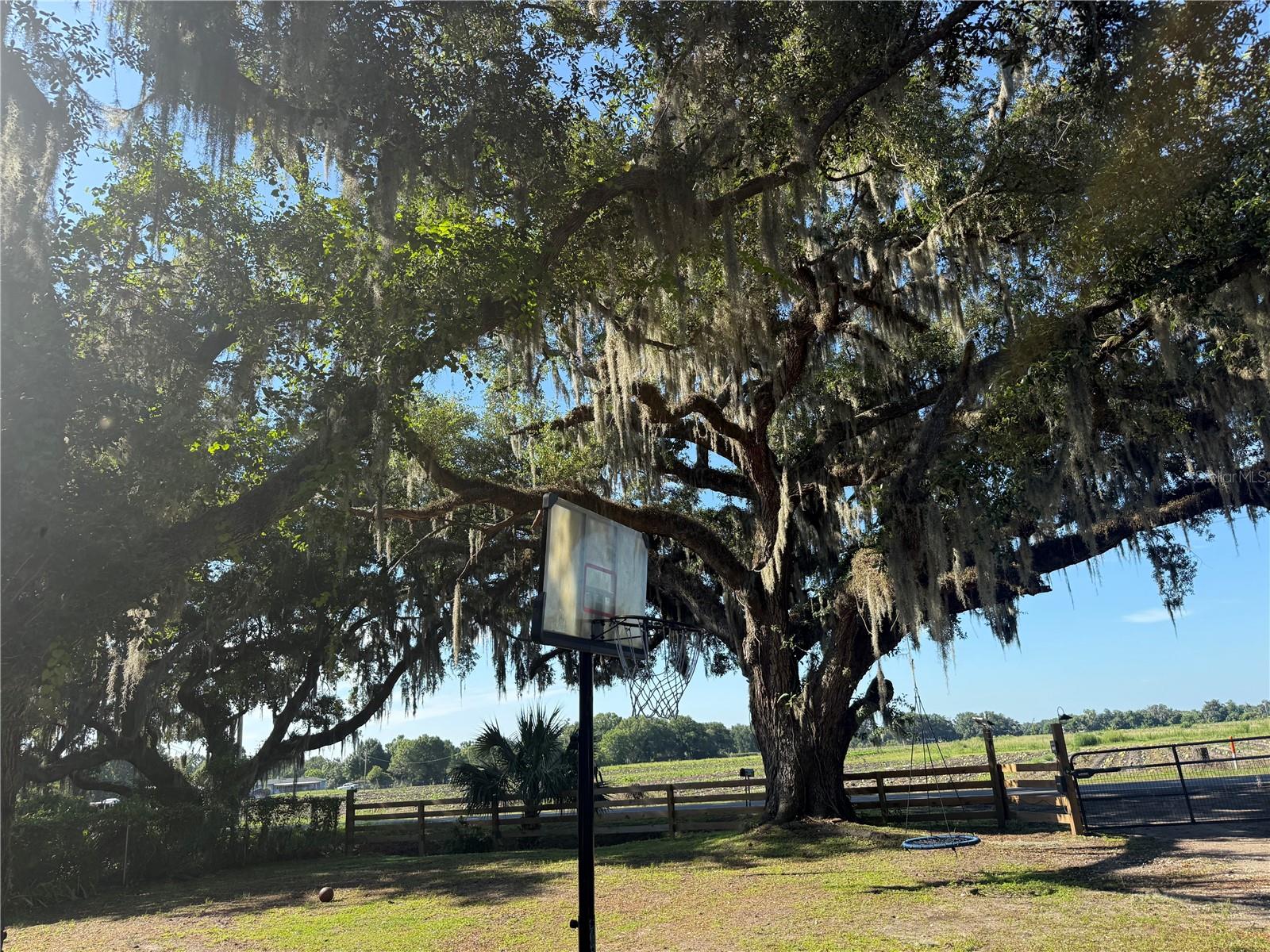 4920 W KNIGHTS GRIFFIN RD, PLANT CITY, FL — photo 40