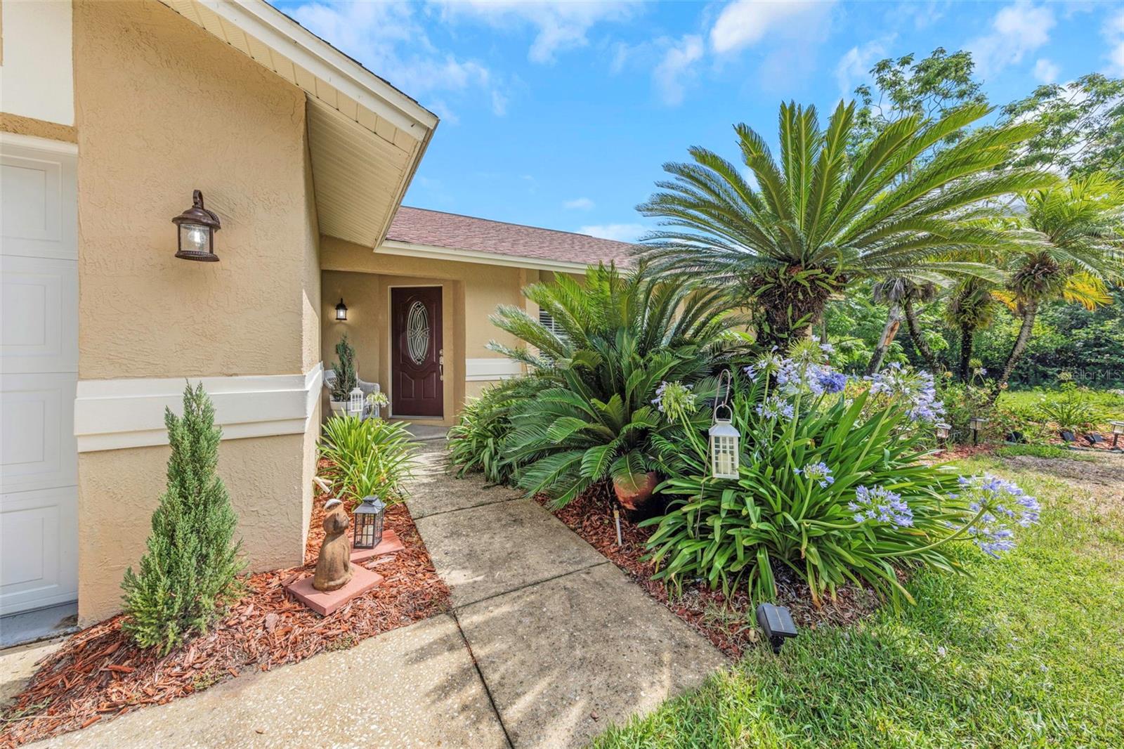 2437 HAWK AVE, PALM HARBOR, FL