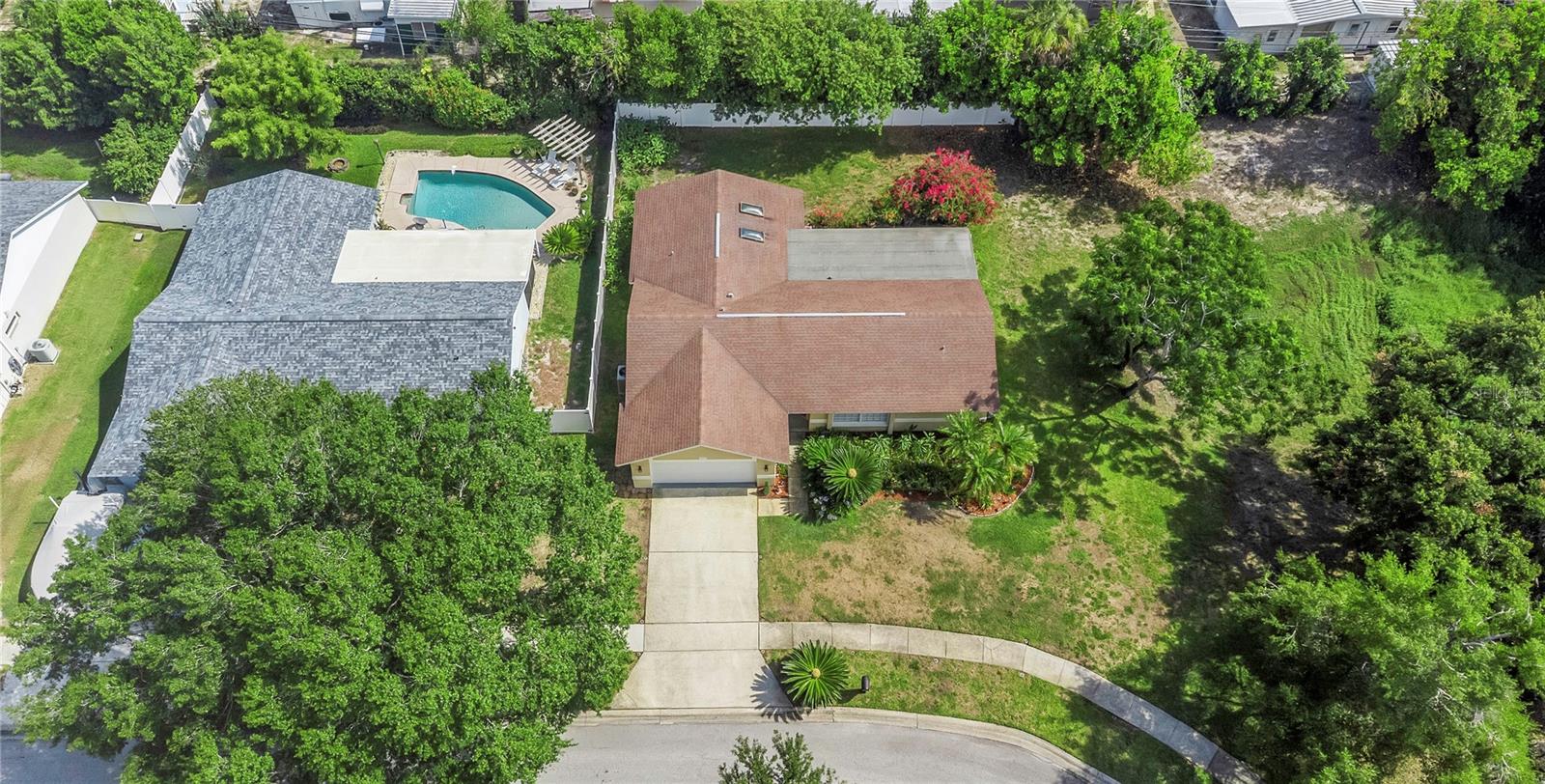 2437 HAWK AVE, PALM HARBOR, FL — photo 33