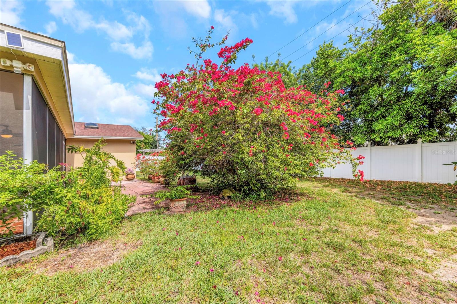 2437 HAWK AVE, PALM HARBOR, FL — photo 34