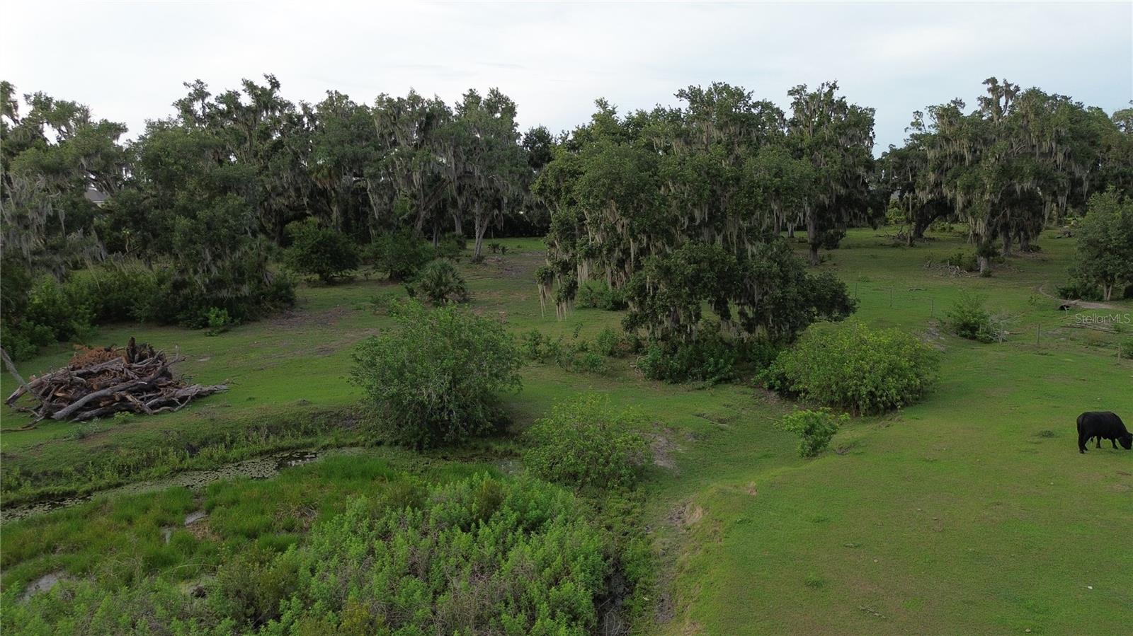10900 OLD TAMPA RD, PARRISH, FL — photo 5