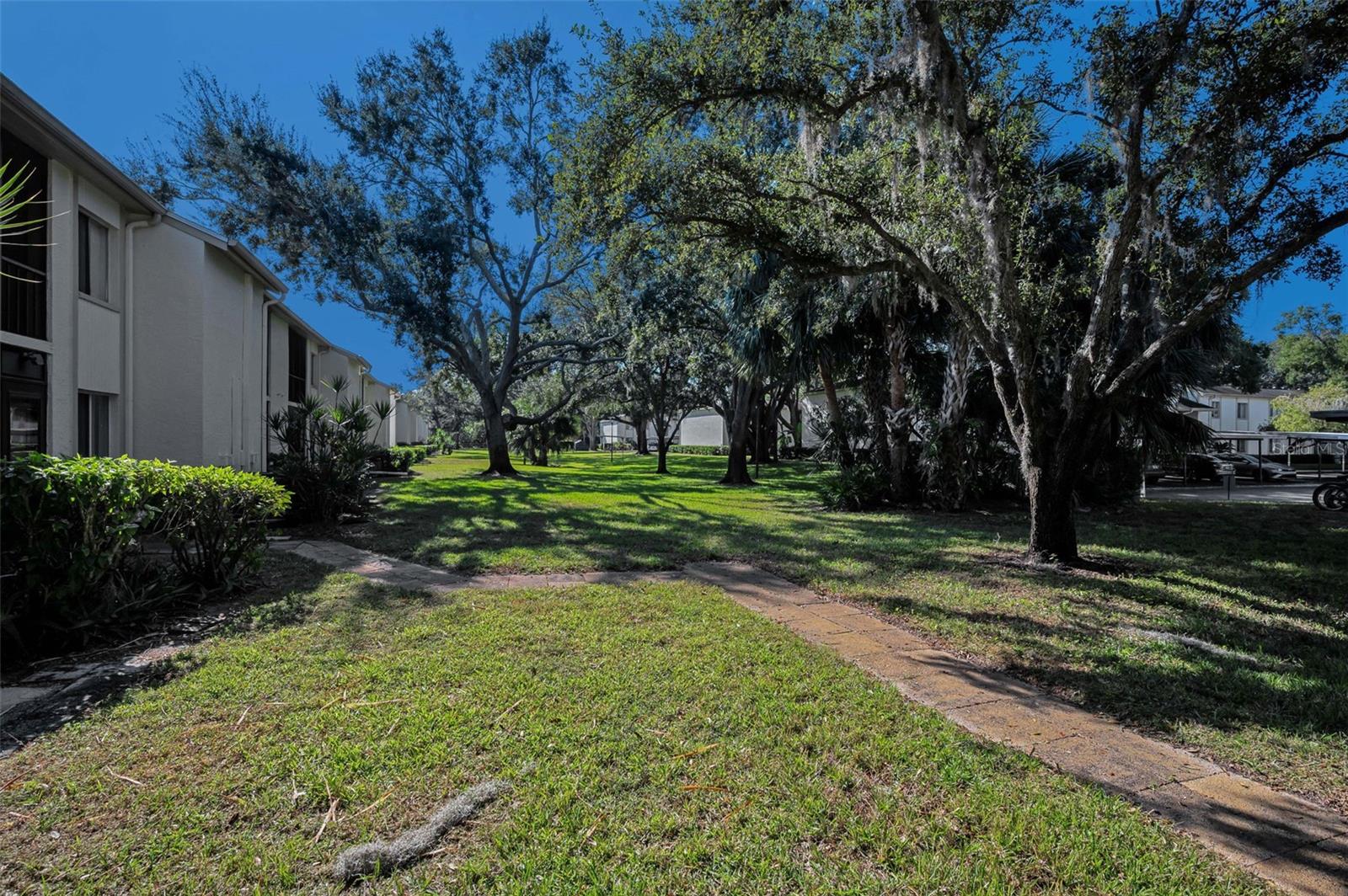 110 CYPRESS CT #3-82, OLDSMAR, FL — photo 31