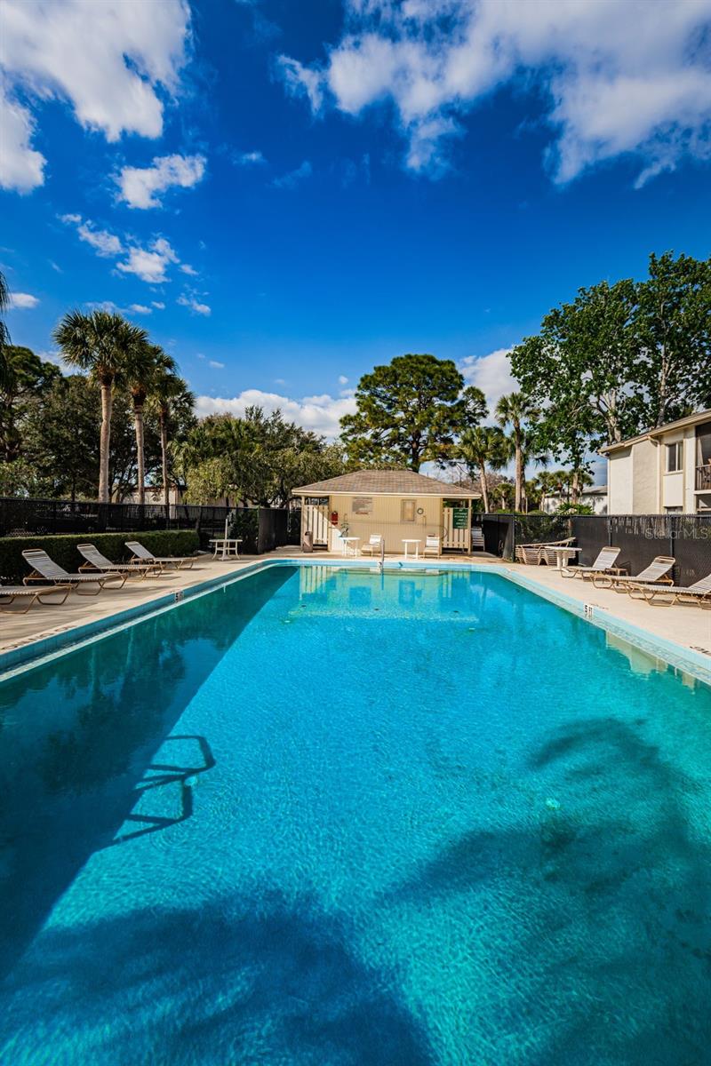 110 CYPRESS CT #3-82, OLDSMAR, FL — photo 33
