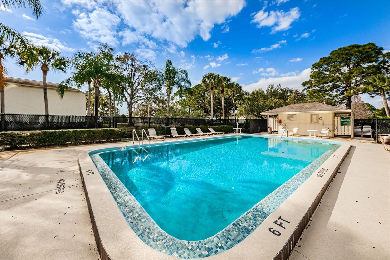 110 CYPRESS CT #3-82, OLDSMAR, FL — photo 34