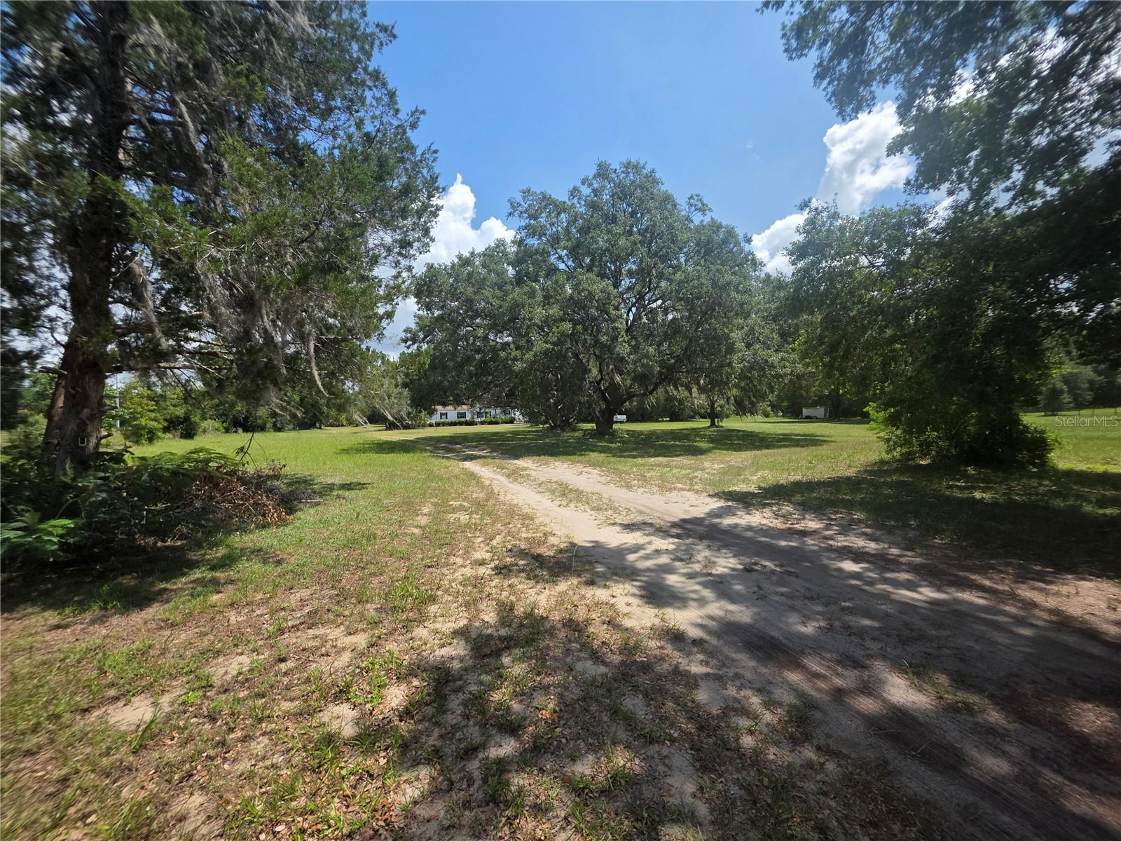 8095 SE 131ST PL, SUMMERFIELD, FL — photo 11