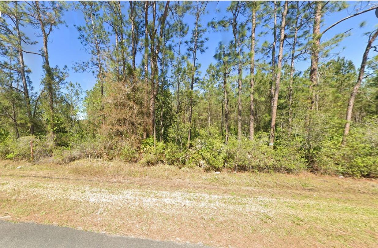4297 W HIGHWAY 100, BUNNELL, FL