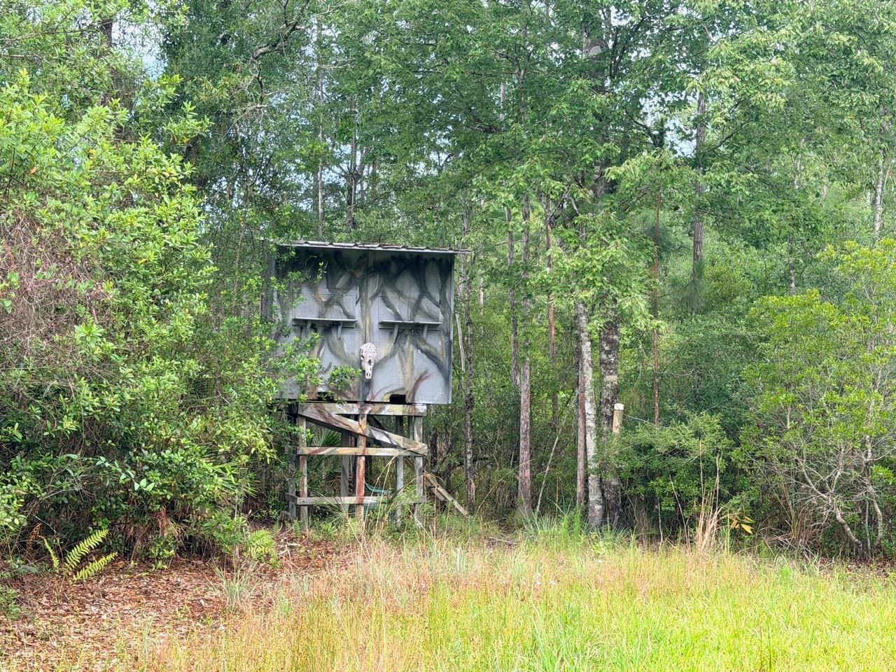 790 NW 42 TER, CHIEFLAND, FL — photo 2