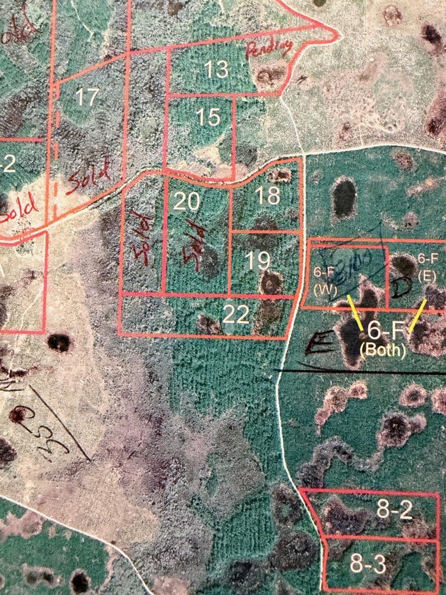 790 NW 42 TER, CHIEFLAND, FL — photo 4