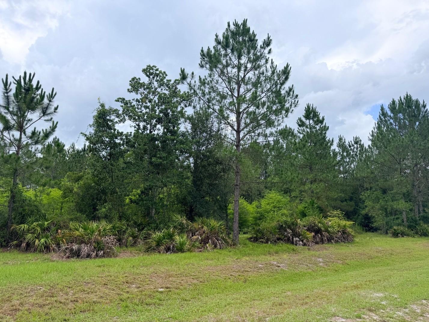 790 NW 42 TER, CHIEFLAND, FL — photo 30
