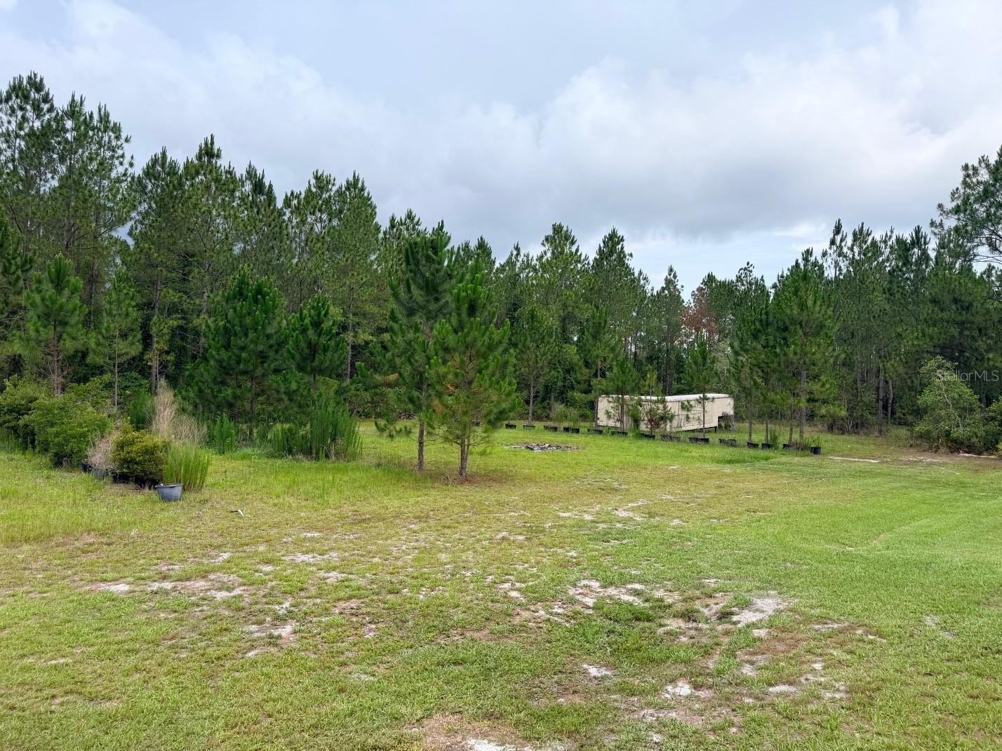 790 NW 42 TER, CHIEFLAND, FL — photo 31