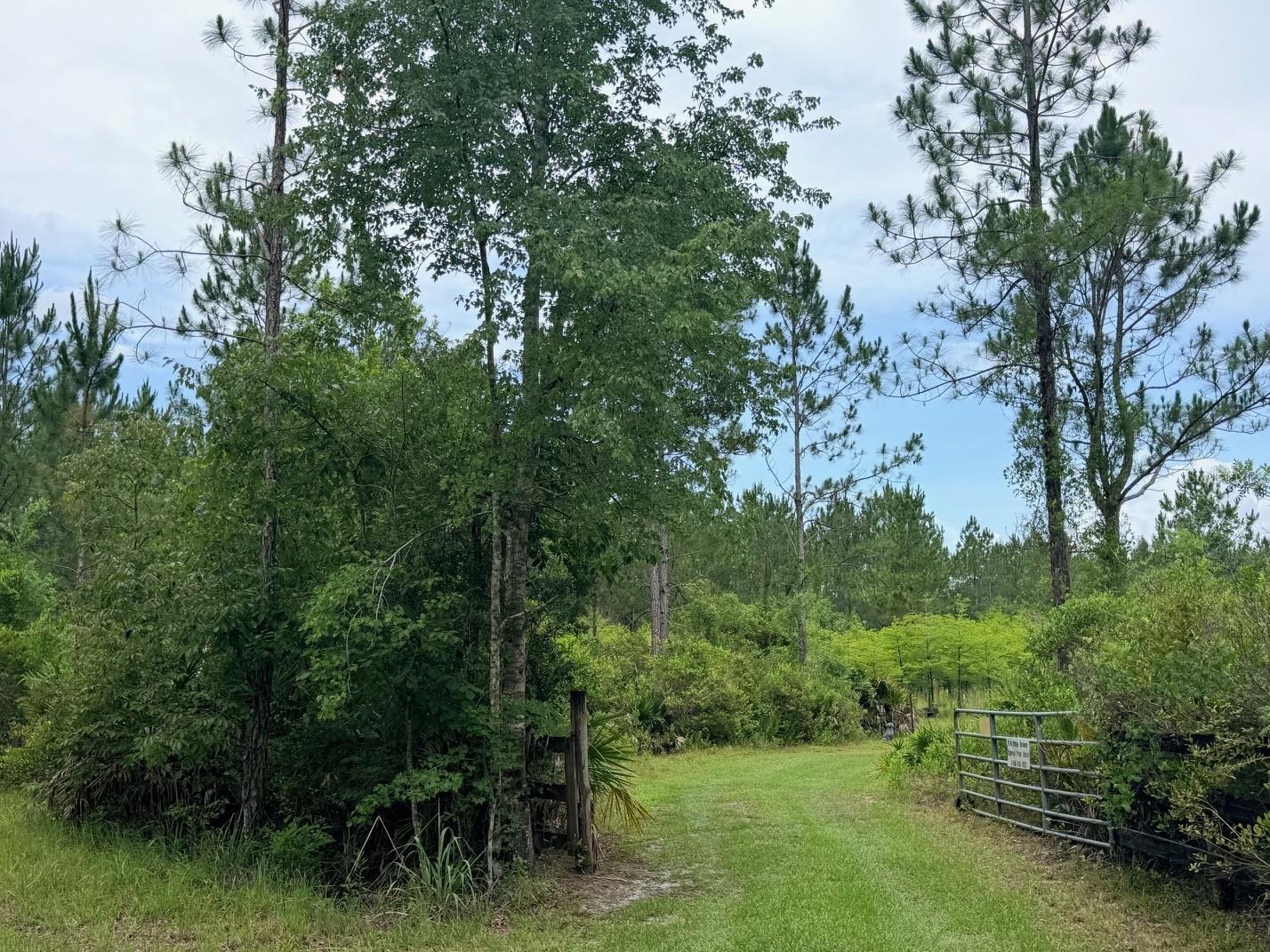 790 NW 42 TER, CHIEFLAND, FL — photo 32