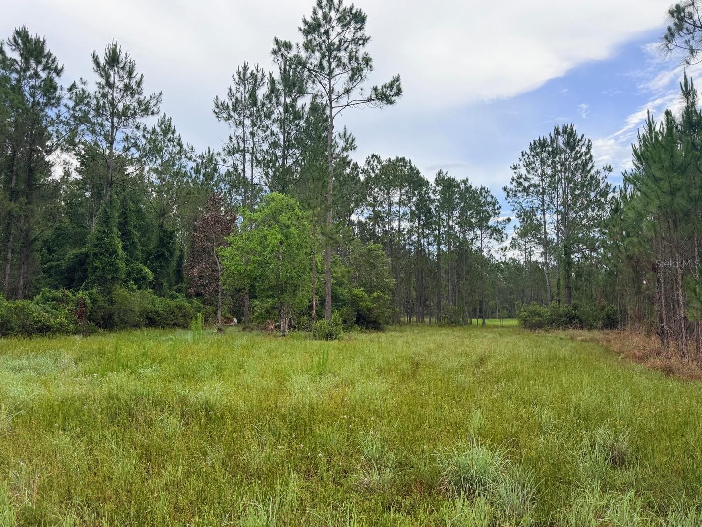 790 NW 42 TER, CHIEFLAND, FL — photo 33