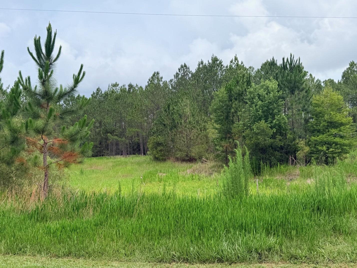 790 NW 42 TER, CHIEFLAND, FL — photo 34