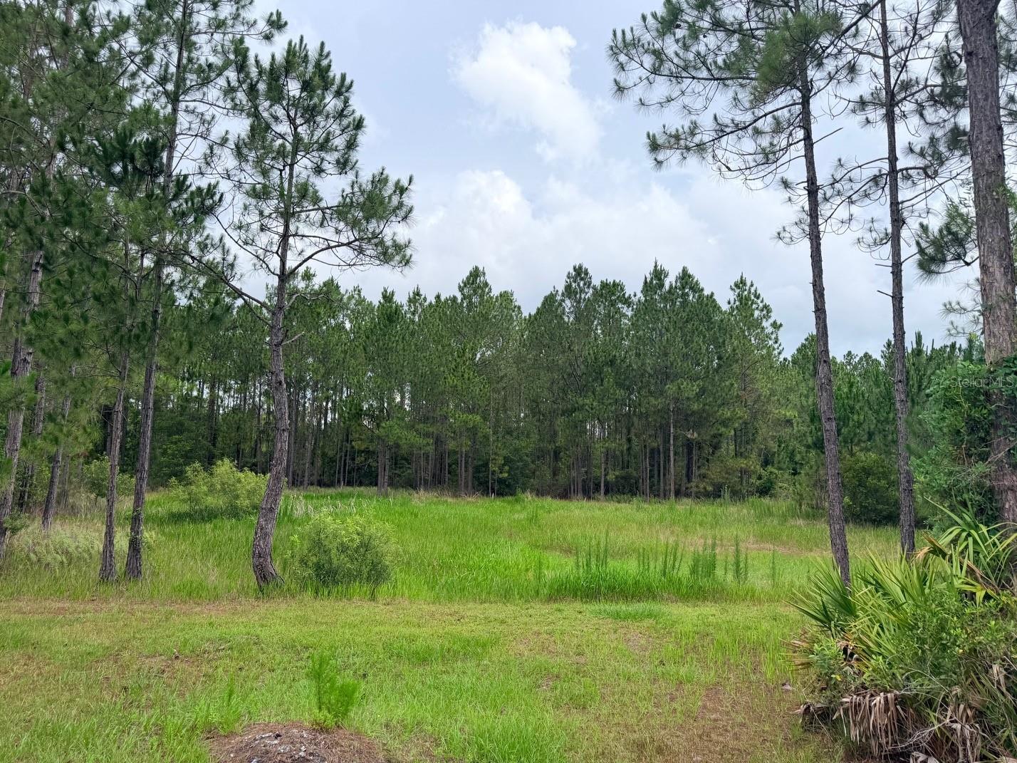 790 NW 42 TER, CHIEFLAND, FL — photo 39