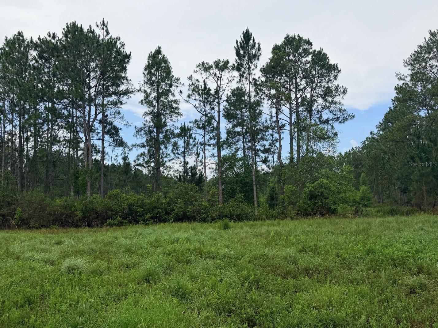 790 NW 42 TER, CHIEFLAND, FL — photo 43