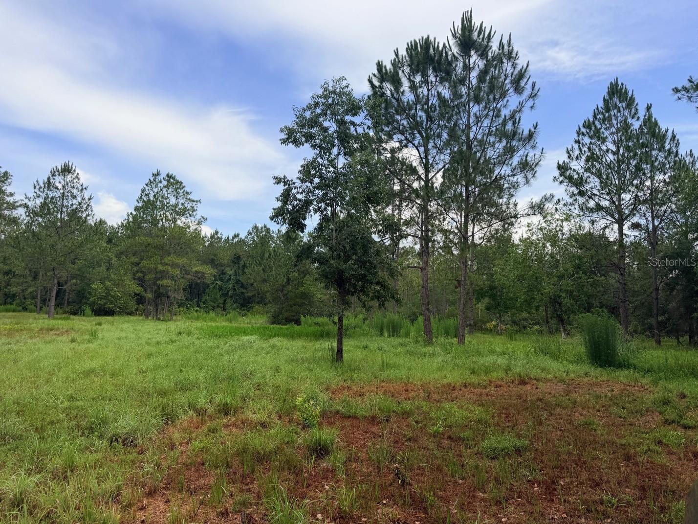 790 NW 42 TER, CHIEFLAND, FL — photo 44