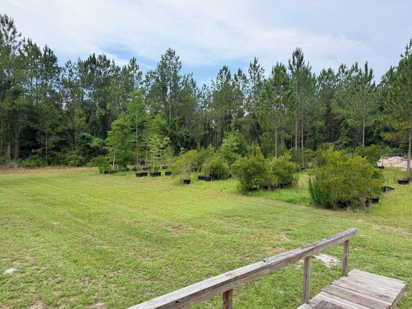 790 NW 42 TER, CHIEFLAND, FL — photo 46