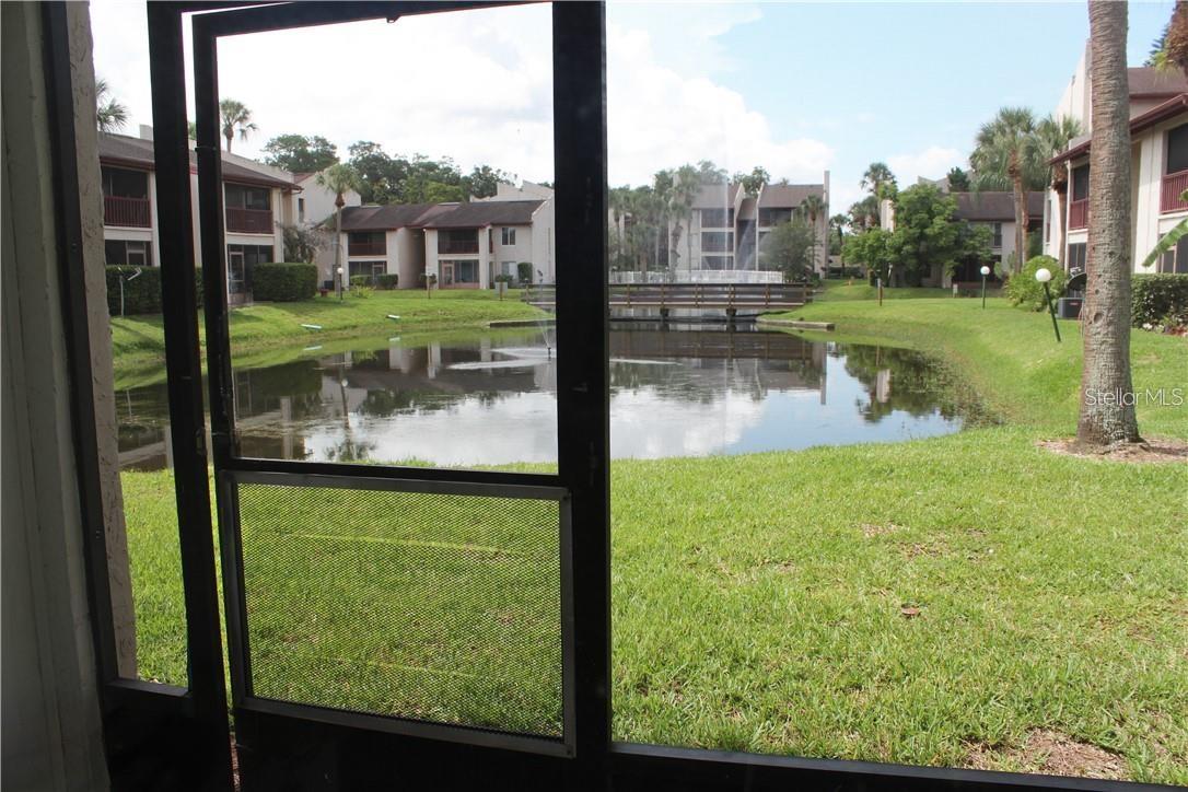 3832 N LAKE DR #116, TAMPA, FL — photo 11