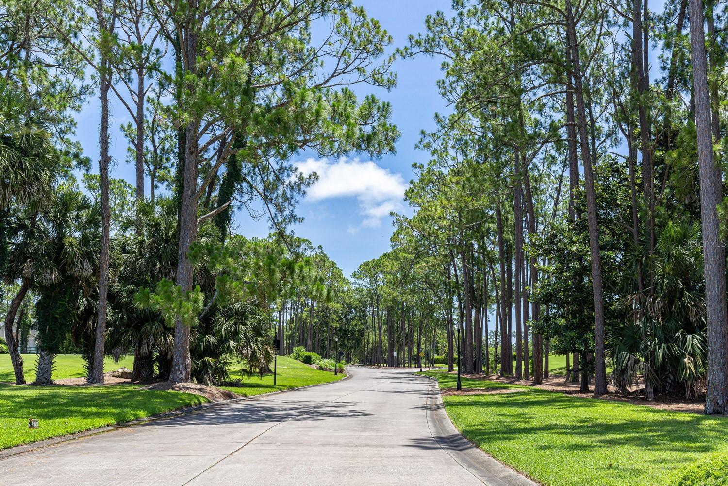 82 KINGSLEY PL, ORMOND BEACH, FL — photo 36