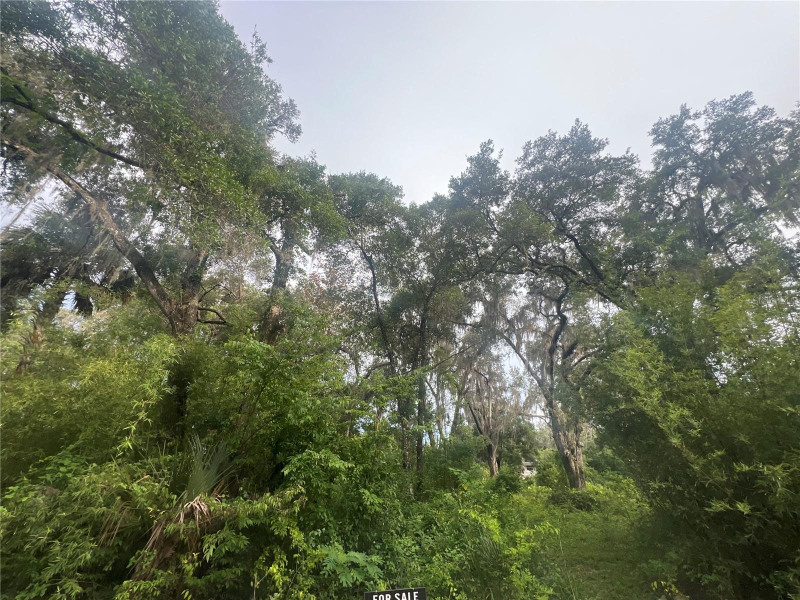 NE 32ND ST, SILVER SPRINGS, FL — photo 2